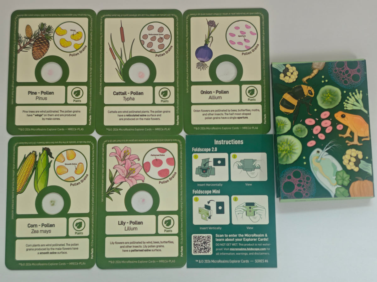 MicroRealms Explorer Cards - Series 6  NEW!