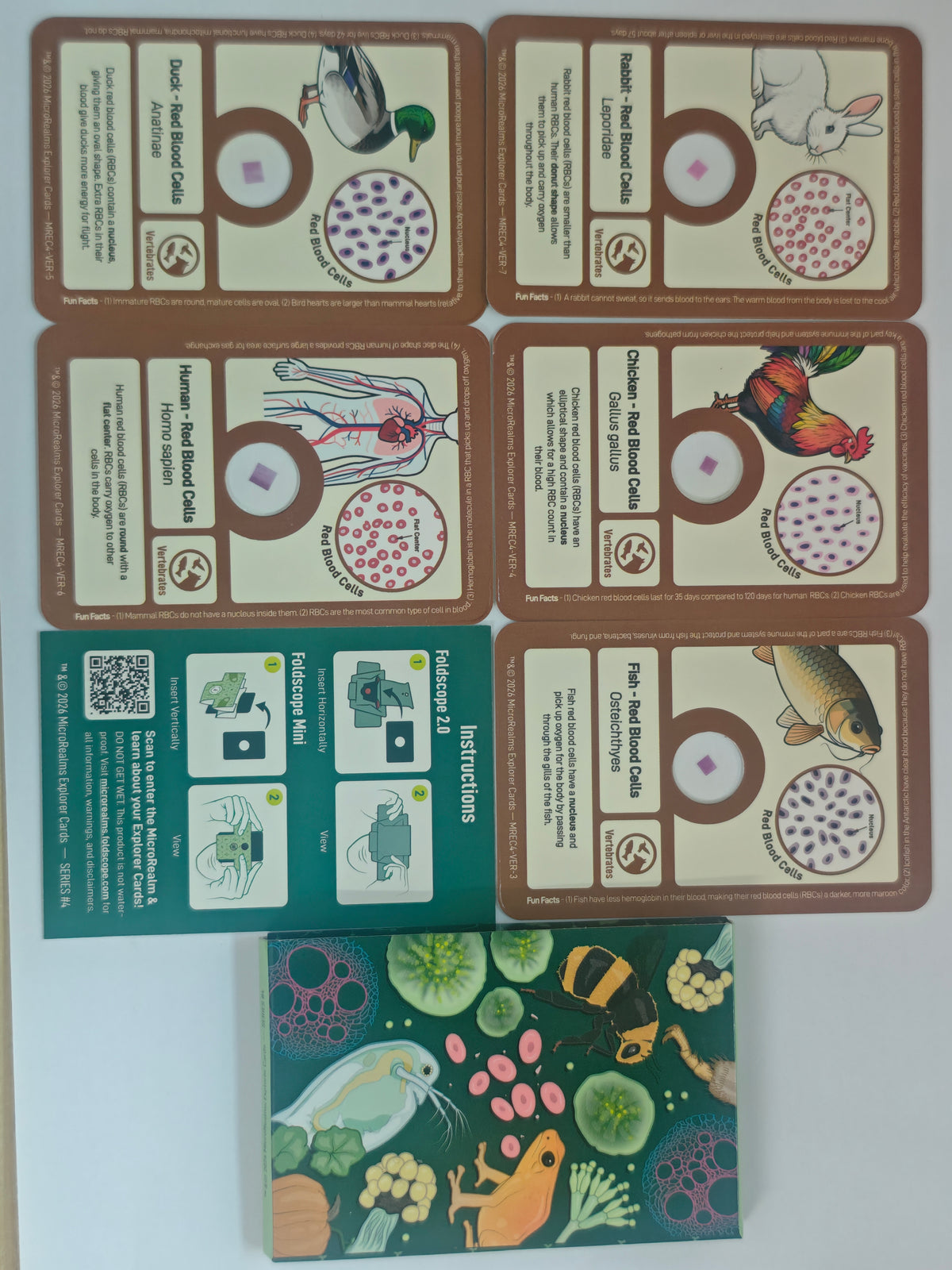 MicroRealms Explorer Cards - Series 4  NEW!