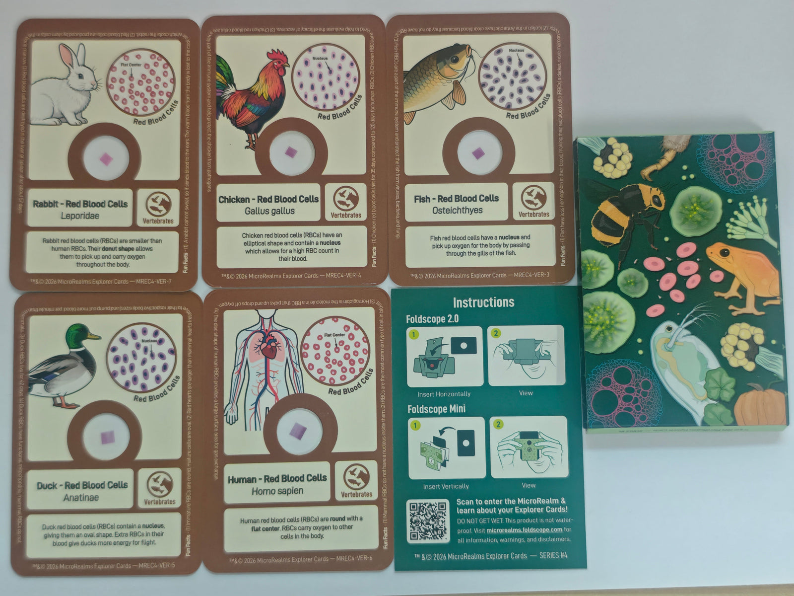 A set of educational animal cards and a matching game board shown on a white background. The cards feature illustrations of different animals such as a duck, rabbit, chicken, and fish, with text and circular cutouts.