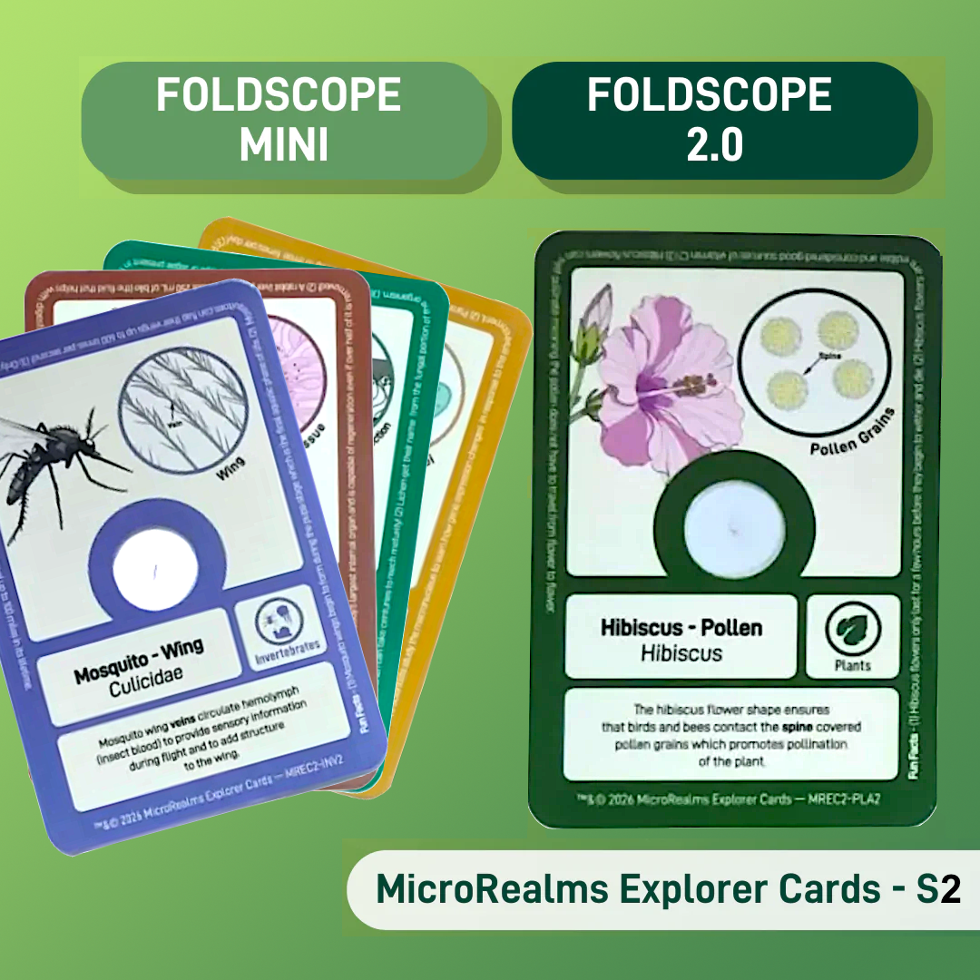 MicroRealms Explorer Cards - Series 2  NEW!
