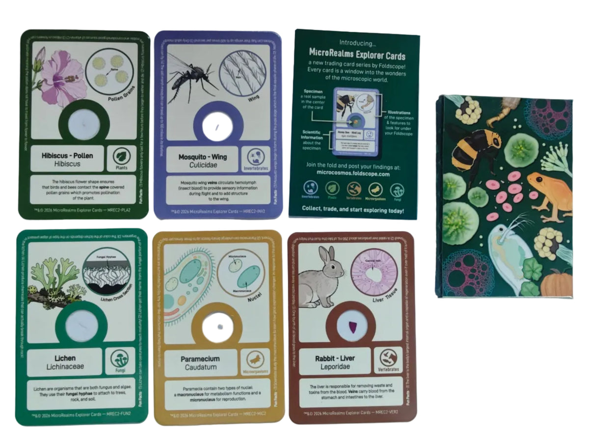 MicroRealms Explorer Cards - Series 2  NEW!