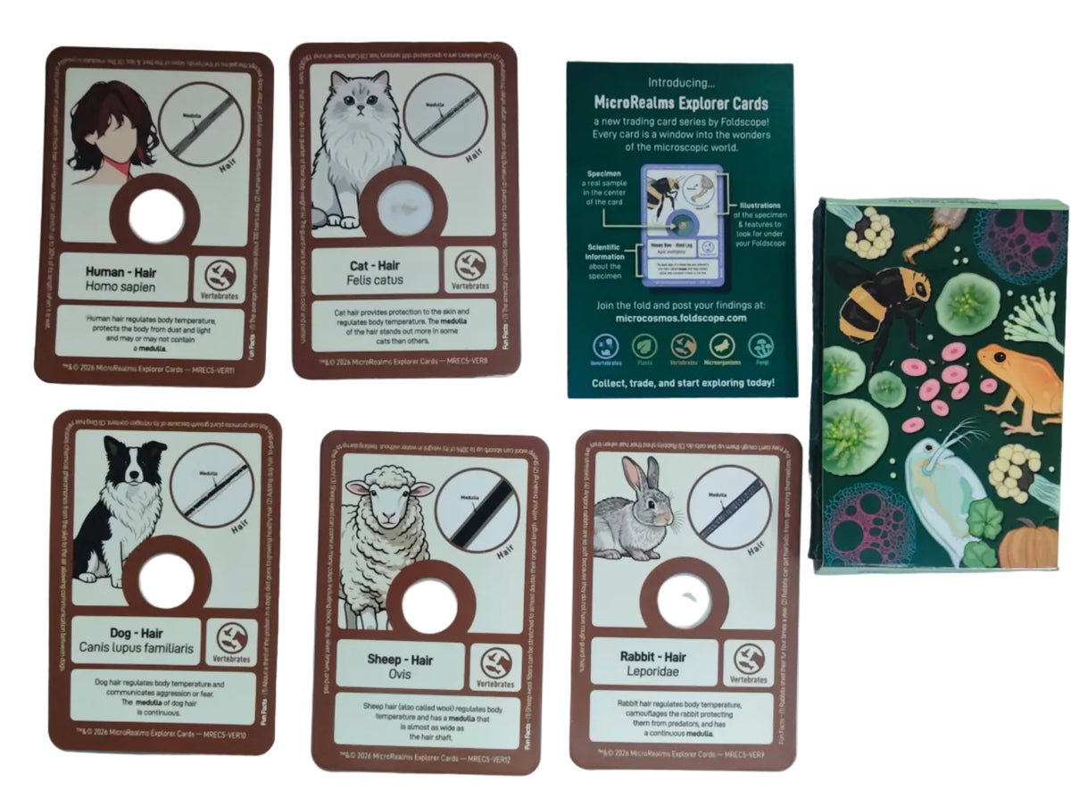 MicroRealms Explorer Cards - Series 5  NEW!