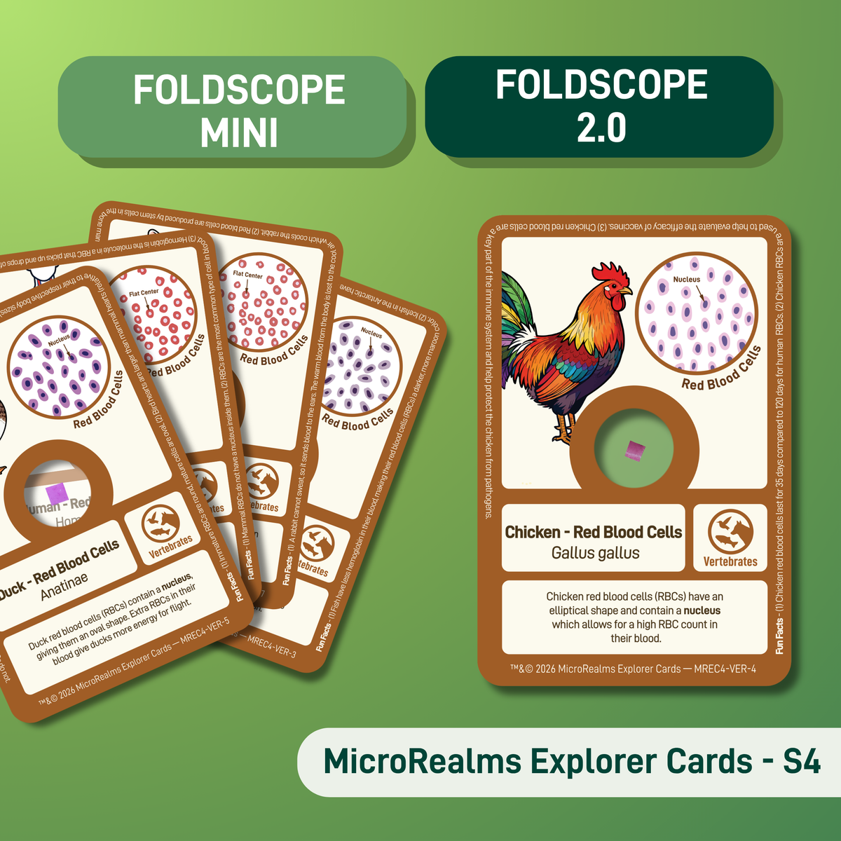 MicroRealms Explorer Cards - Series 4  NEW!