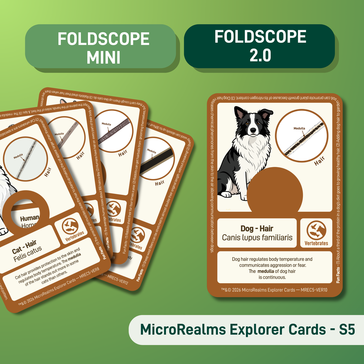 MicroRealms Explorer Cards - Series 5  NEW!