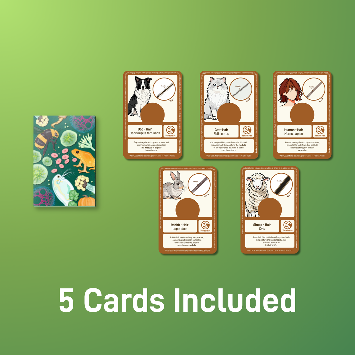 MicroRealms Explorer Cards - Series 5  NEW!