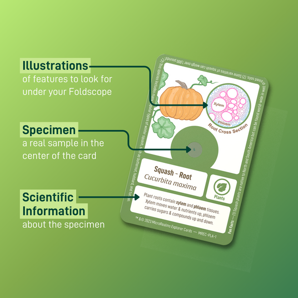 MicroRealms Explorer Cards - Series 1. - Foldscope Instruments, Inc.