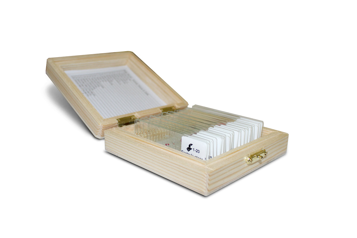 Foldscope Prepared Slide Box Set #1 - Animal Tissues &amp; Cells.