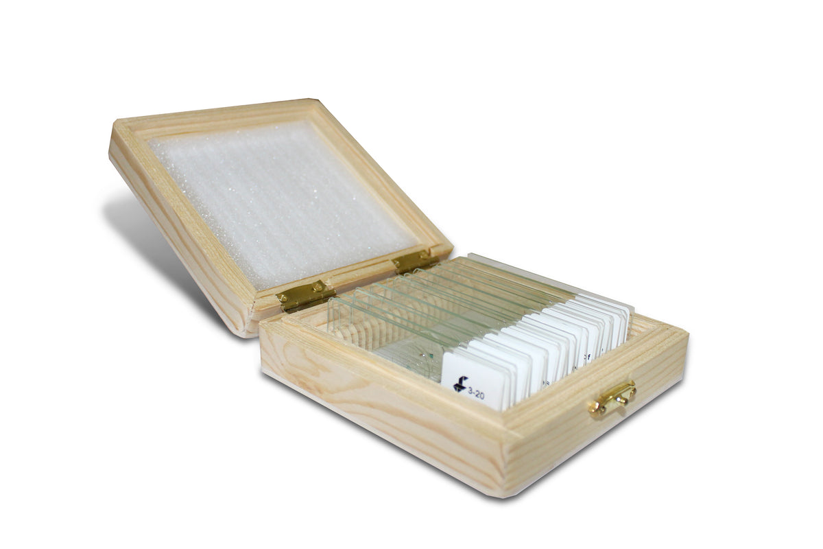 Foldscope Prepared Slide Box Set #3 - Microanimals