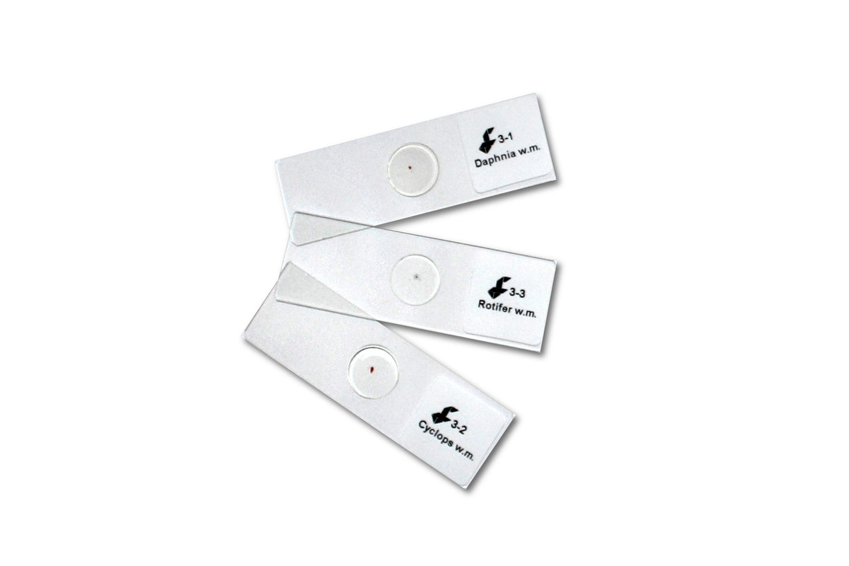 Foldscope Prepared Slide Box Set #3 - Microanimals